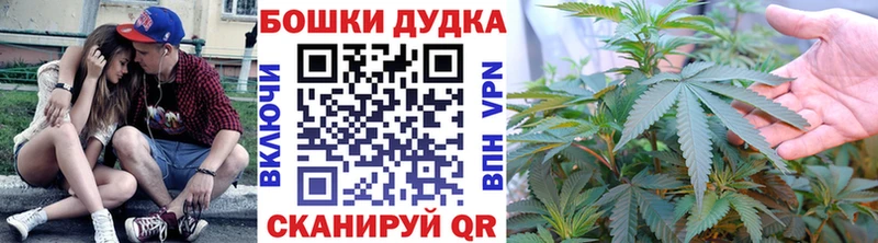 blacksprut   Партизанск  Каннабис сатива 